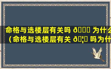 命格与选楼层有关吗 🕊 为什么（命格与选楼层有关 🦄 吗为什么不能选）